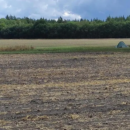 Hébergement de vacances In Veluwe Near Hoge Veluwe Park, Cleaning Included *