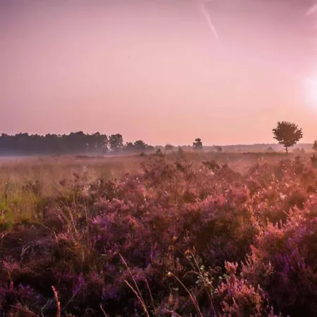 In Veluwe Near Hoge Veluwe Park, Cleaning Included Hébergement de vacances Voorthuizen