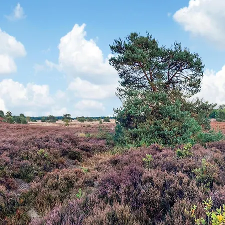Hébergement de vacances In Veluwe Near Hoge Veluwe Park, Cleaning Included Voorthuizen