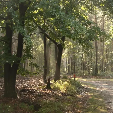 In Veluwe Near Hoge Veluwe Park, Cleaning Included *