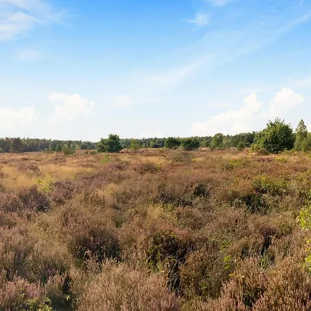 In Veluwe Near Hoge Veluwe Park, Cleaning Included Voorthuizen