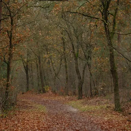 In Veluwe Near Hoge Veluwe Park, Cleaning Included * Voorthuizen
