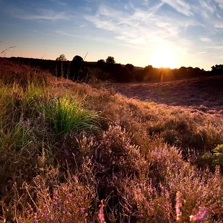 Hébergement de vacances In Veluwe Near Hoge Veluwe Park, Cleaning Included